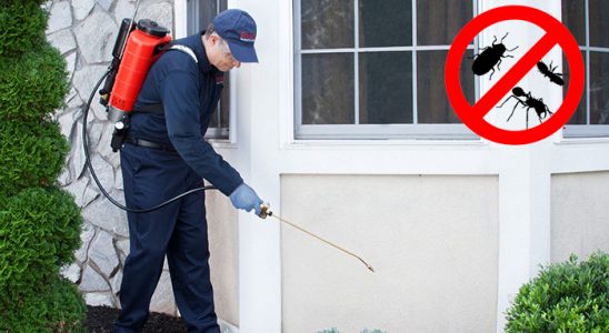 Dernekpazarı Böcek İlaçlama böcek ilaçlama ve haşere kontrolü — ilaclama-tr.com